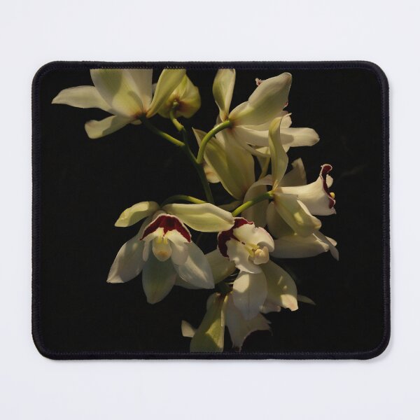Item preview, moody white orchid designed and sold by floral25.