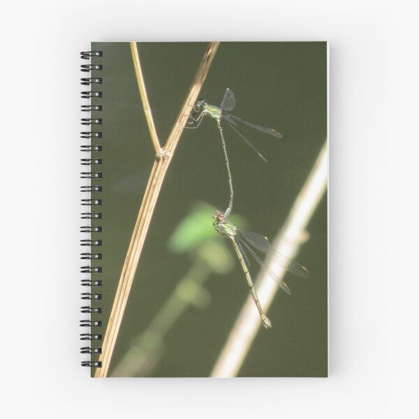 Item preview, Damselflies Mating Wheel. Nature's Geometry designed and sold by Astute-Artio-Photography.
