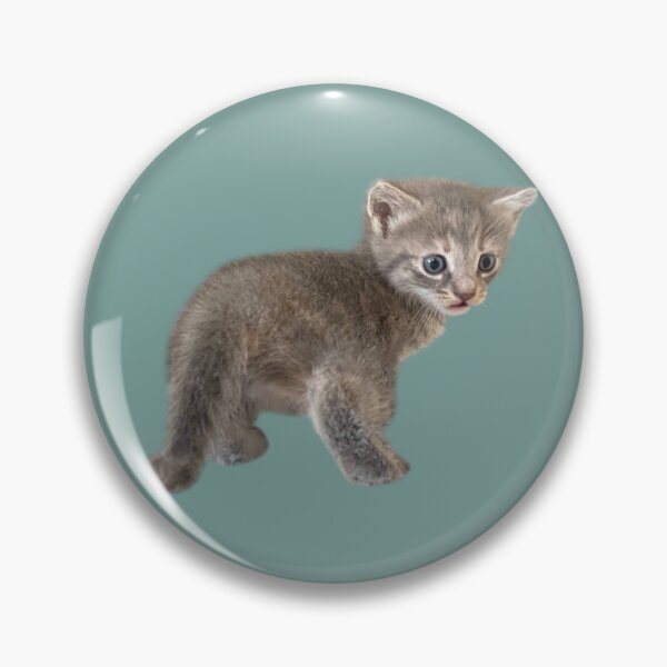 Item preview, Cute Kitten Sticker Sheet – Adorable Rescue Kittens Photo Stickers designed and sold by JustPetMe.