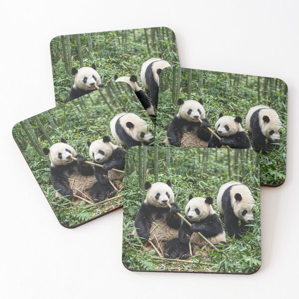 Item preview, Pandas designed and sold by snoWorkshop.