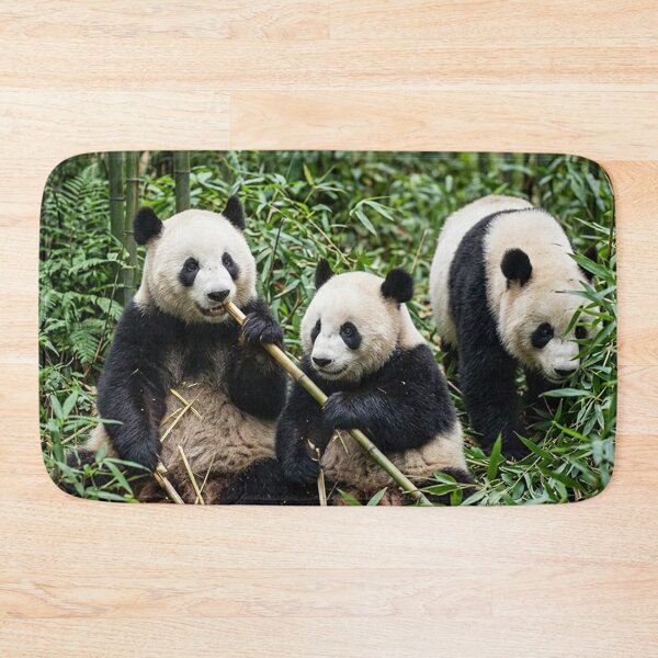Item preview, Pandas designed and sold by snoWorkshop.