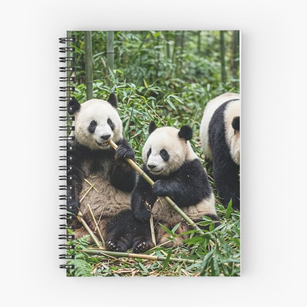 Aperçu de l'œuvre Pandas créée et vendue par snoWorkshop.