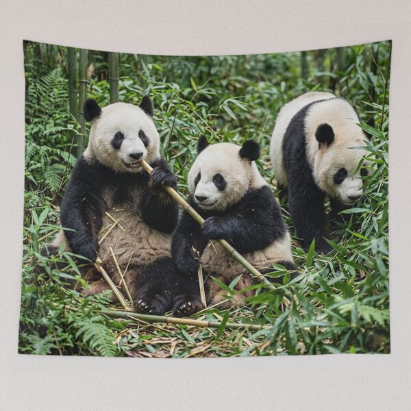 Item preview, Pandas designed and sold by snoWorkshop.