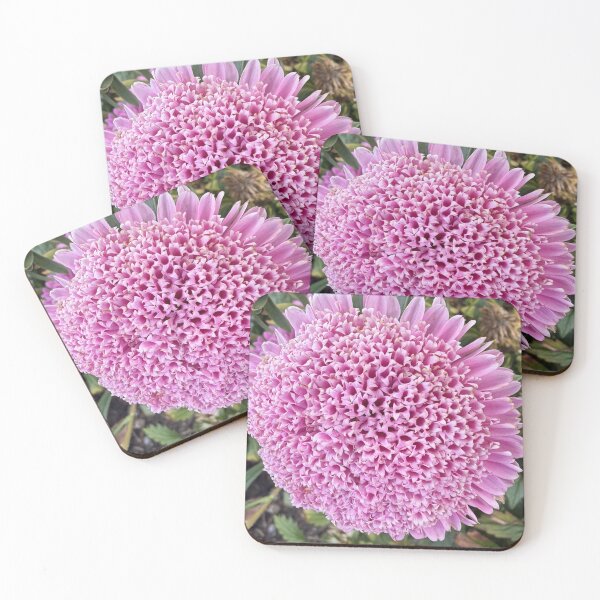 Item preview, Pink Aster Flower in Full Bloom designed and sold by SolaraNature.
