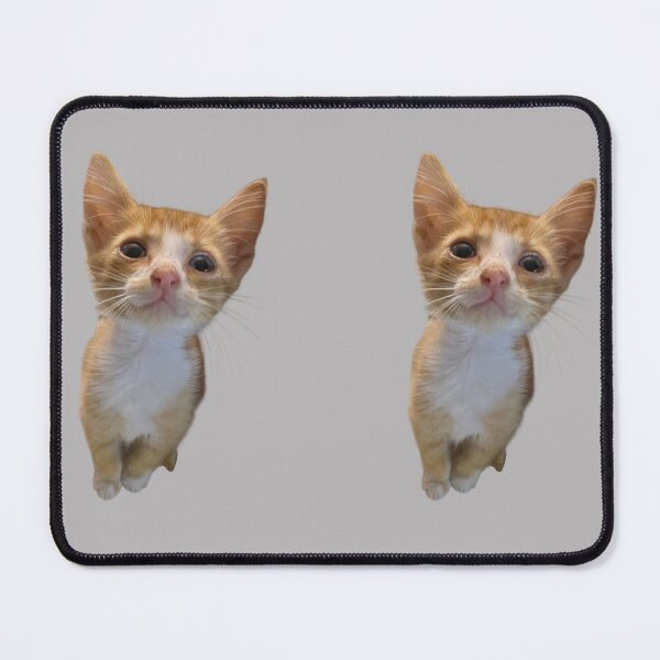 Item preview, Cute Real Kitten Sticker Sheet – Adorable Rescue Kittens Photo Stickers designed and sold by JustPetMe.