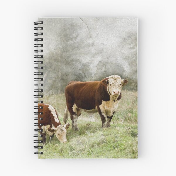 Aperçu de l'œuvre Photographie à l'aquarelle d'un taureau et d'une vache Hereford créée et vendue par Jane Stanley Photography.
