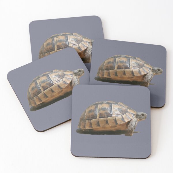 Item preview, Side-View Of A Tortoise Hatchling designed and sold by taiche.