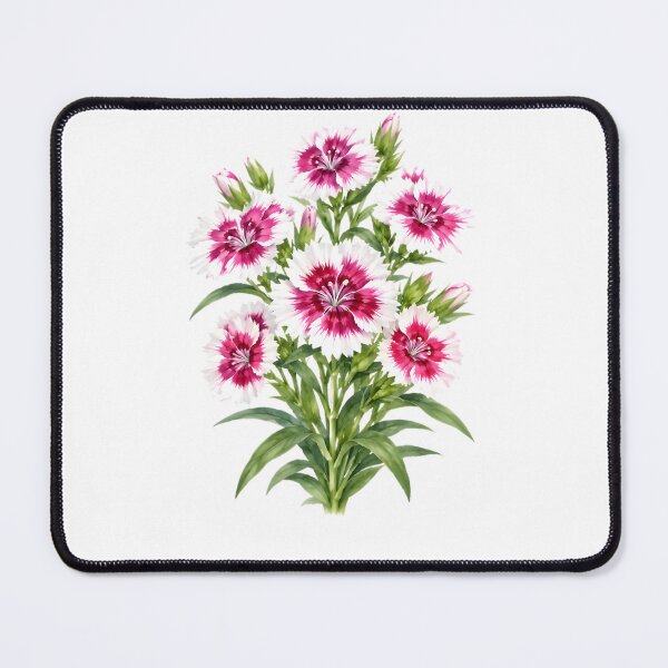 Item preview, Dianthus Interspecific F1 Telstar designed and sold by HOMETOWN86.