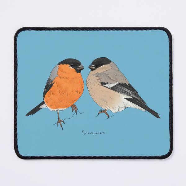 Item preview, Eurasian Bullfinch designed and sold by Luzeilustración.
