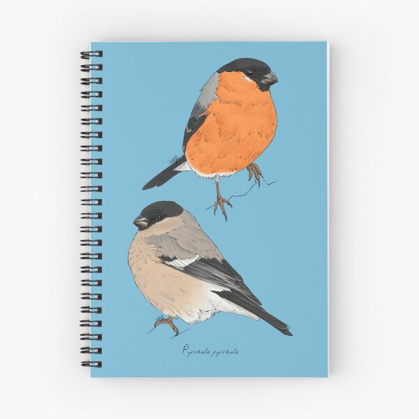 Item preview, Eurasian Bullfinch designed and sold by Luzeilustración.