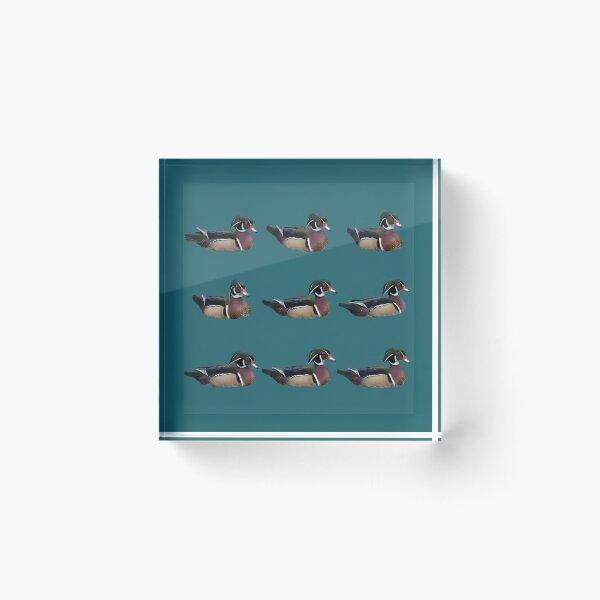 Item preview, Wood Duck – Bold Repeating Waterfowl Pattern designed and sold by Helt-enkelt.