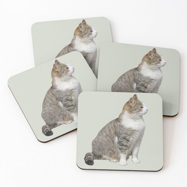 Item preview, Big Mama Cat Sticker – Cute Rescue Cat Sticker for Cat Lovers designed and sold by JustPetMe.