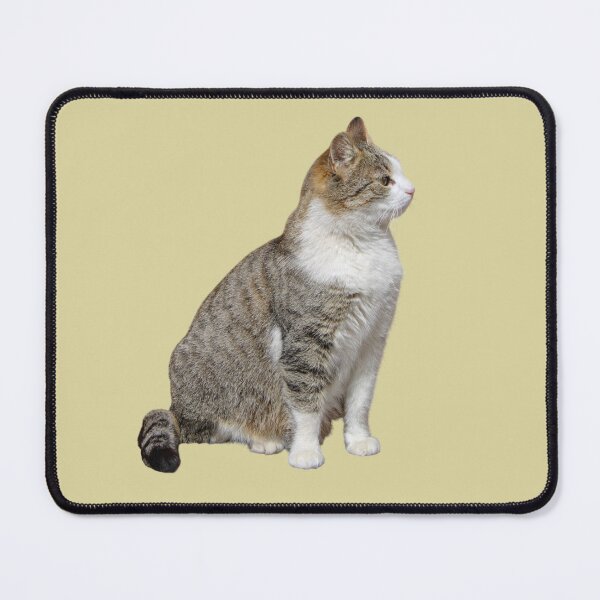 Item preview, Big Mama Cat Sticker – Cute Rescue Cat Sticker for Cat Lovers designed and sold by JustPetMe.