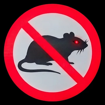 Artwork thumbnail, No Rats by Mad Apparel
