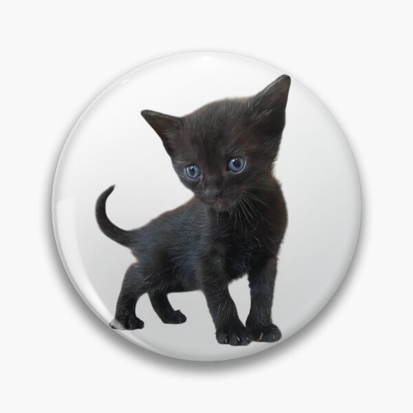 Item preview, Cute Kitten Sticker Sheet – Adorable Rescue Kittens Photo Stickers designed and sold by JustPetMe.