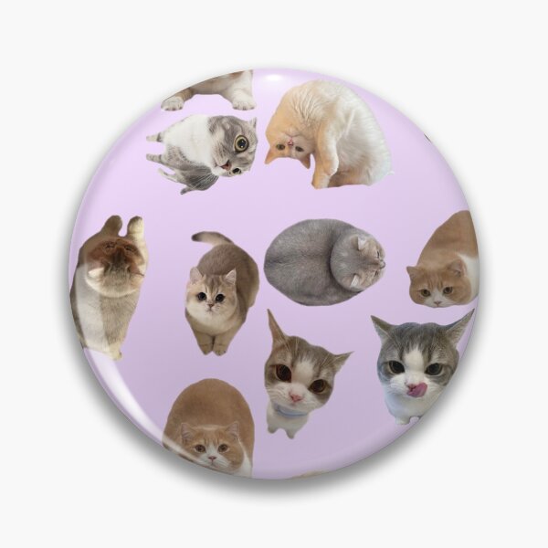 Item preview, kitty stickerpack!!! designed and sold by PLANET-VEE.