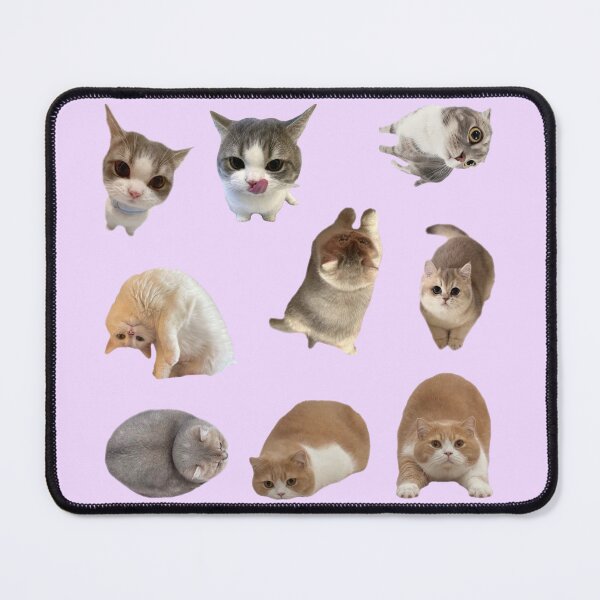 Item preview, kitty stickerpack!!! designed and sold by PLANET-VEE.