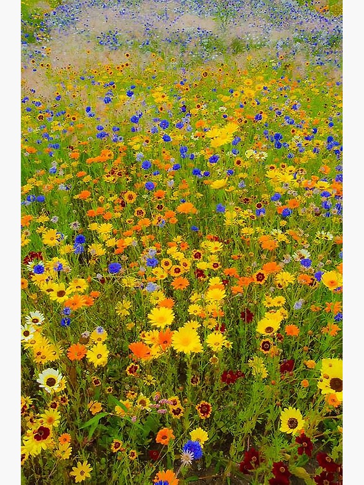 Disover Field of Yellow and Blue Flowers Premium Matte Vertical Poster