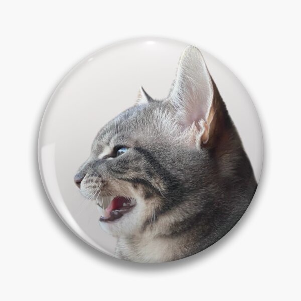 Item preview, Cute Cat Sticker – Real Rescue Cat Sticker for Cat Lovers designed and sold by JustPetMe.