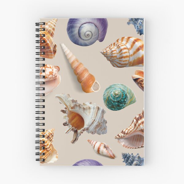 Item preview, Sea Shells designed and sold by KapowStickers.