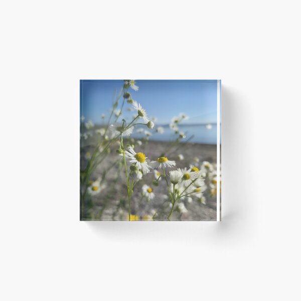 Item preview, Wave of flowers_2, Nature, Forest, Spiritual, Mystical, Photography designed and sold by WaveOfSoul.
