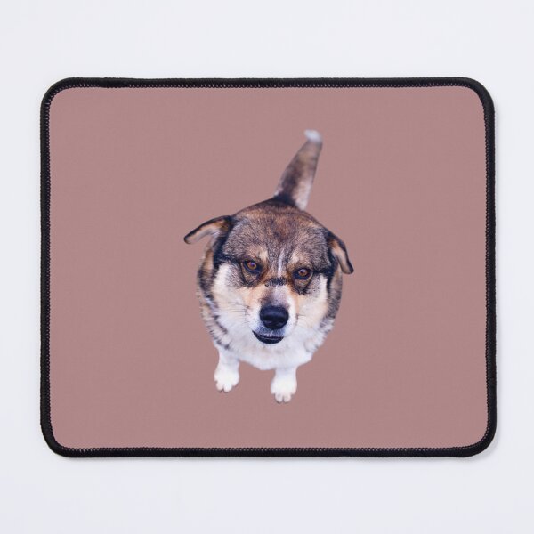 Item preview, Senior Rescue Dog – Cute Rescue Dog Design for Dog Lovers designed and sold by JustPetMe.