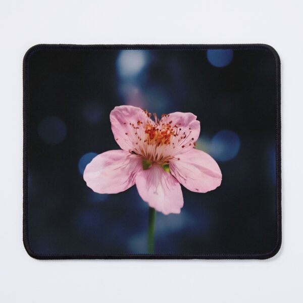 Item preview, Wave of spirit, Nature, Forest, Spiritual, Mystical, Photography designed and sold by WaveOfSoul.