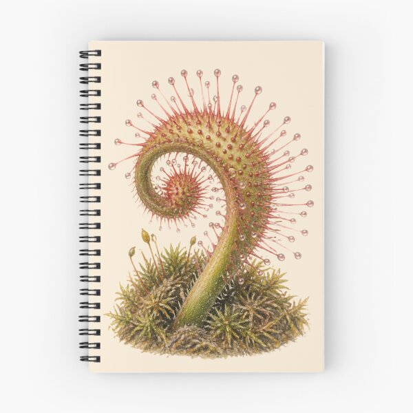 Item preview, Spiral Sundew Plant Vintage Naturalist Study designed and sold by BloomStudio1.