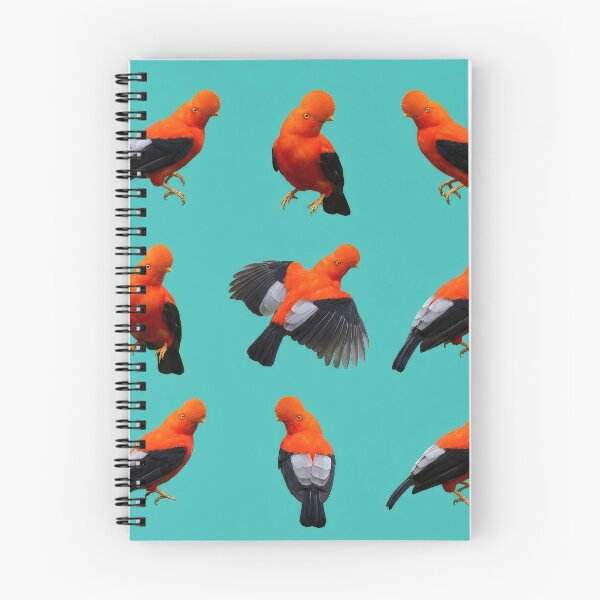 Item preview, Gallito de las rocas andino – Patrón de aves brillantes designed and sold by Helt-enkelt.