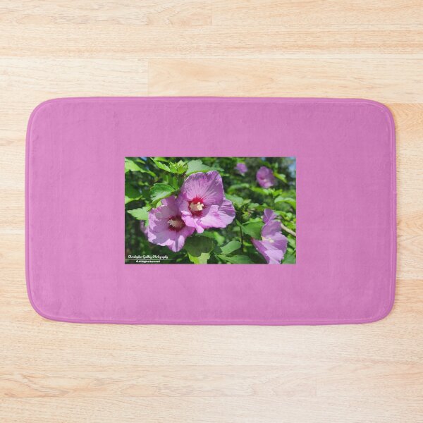 Item preview, Rose of Sharon Hibiscus  designed and sold by Christopher Guilkey Photography .