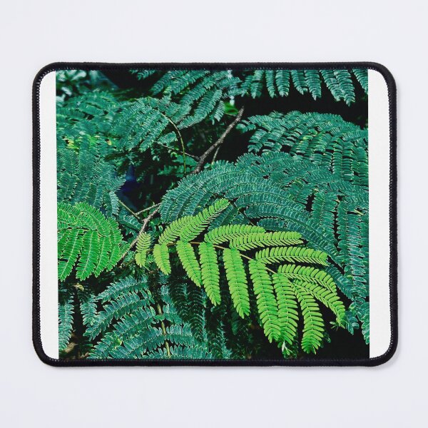 Item preview, Forest Green designed and sold by JOsbahr-visuals.