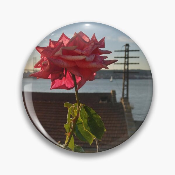 Item preview, Rosa vermelha designed and sold by ZeusGallery.