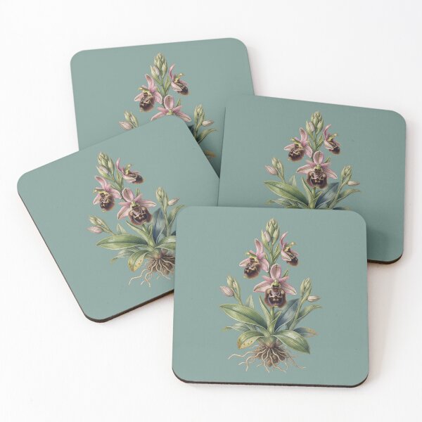 Item preview, Vintage Bee Orchid Print: Botanical Solipsism designed and sold by FreiherrPK.