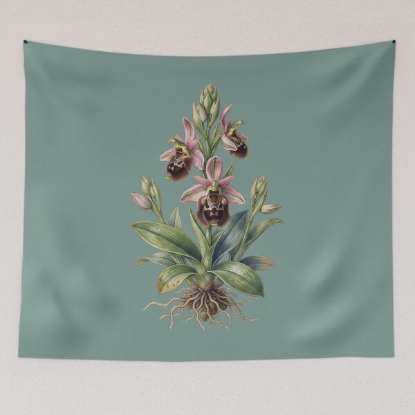 Item preview, Vintage Bee Orchid Print: Botanical Solipsism designed and sold by FreiherrPK.