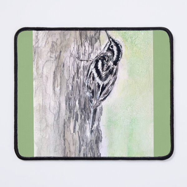 Item preview, New! Black-and-white Warbler Drawing designed and sold by Birds of Inwood.