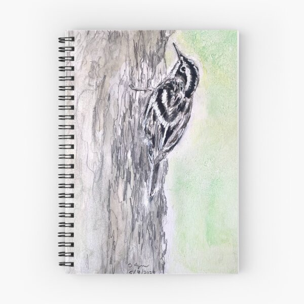 Item preview, New! Black-and-white Warbler Drawing designed and sold by Birds of Inwood.