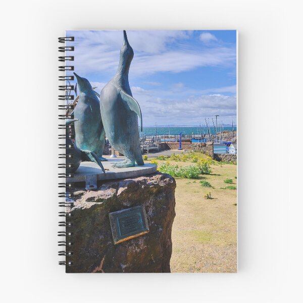 Item preview, Escultura del Centro de Aves Marinas de Escocia en North Berwick designed and sold by Violaman.