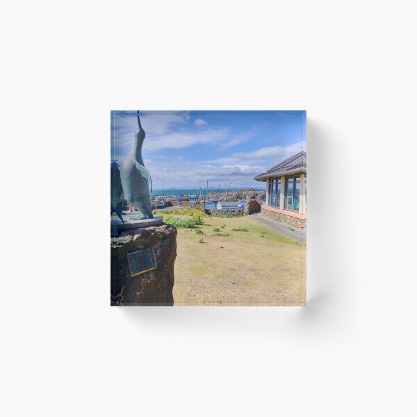 Item preview, Scottish Seabird Centre Sculpture at North Berwick designed and sold by Violaman.