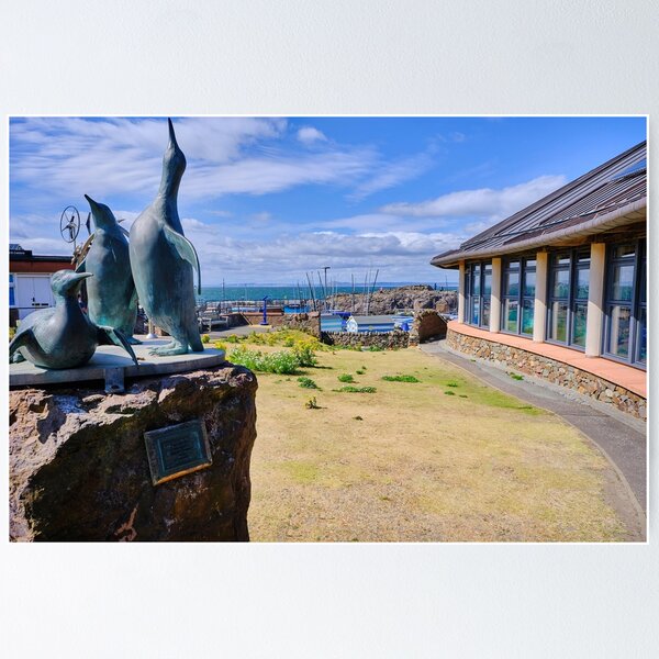 Item preview, Scottish Seabird Centre Sculpture at North Berwick designed and sold by Violaman.