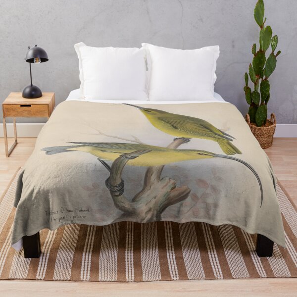 Item preview, The Kauaʻi ʻakialoa (Hemignathus procerus) designed and sold by WolfShadow27.