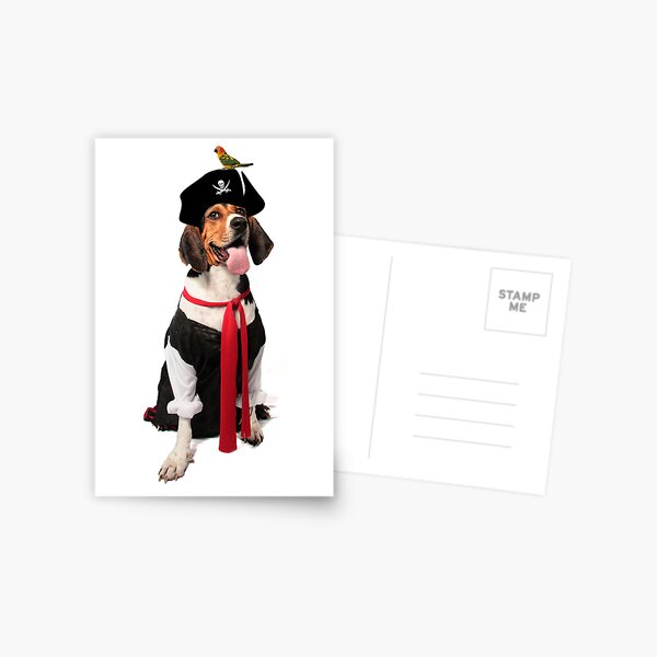 Pirate Princess Postcard