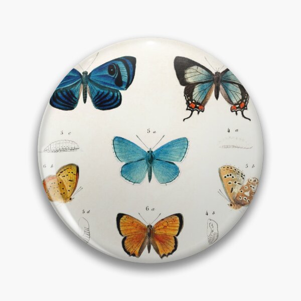 Item preview, butterflies illustrated by Charles Dessalines D' Orbigny (1806-1876) designed and sold by AngyDesigns49.