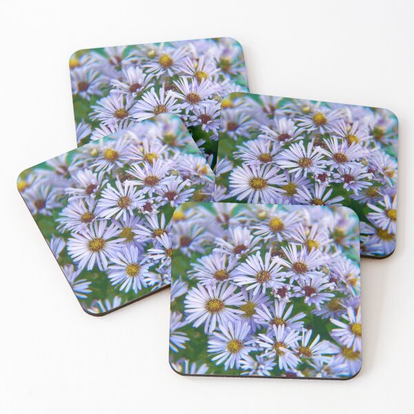 Item preview, Purple Aster Flower Cluster | Botanical Floral Photography Print designed and sold by RootedArts.