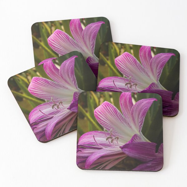 Item preview, Pink striped lily – Elegant flower macro shot designed and sold by Tammigrafie.