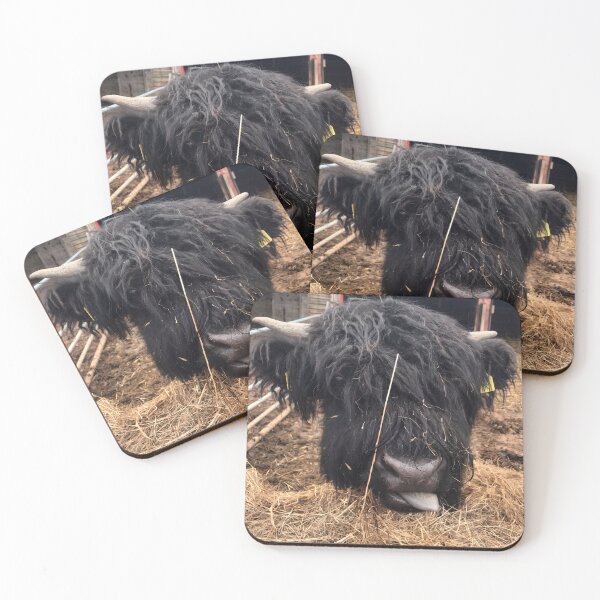 Item preview, Cheeky Chops.  The Shaggy Black Highland Cow sticking out its Tongue designed and sold by Astute-Artio-Photography.