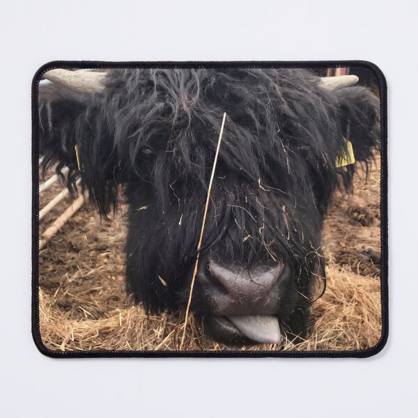 Item preview, Cheeky Chops.  The Shaggy Black Highland Cow sticking out its Tongue designed and sold by Astute-Artio-Photography.