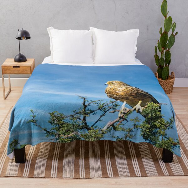 Item preview, Greater Kestrel In Botswana designed and sold by Kay Brewer.