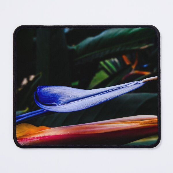 Item preview, Bird of Paradise Strelitzia – Tropical Macro Photography designed and sold by Tammigrafie.
