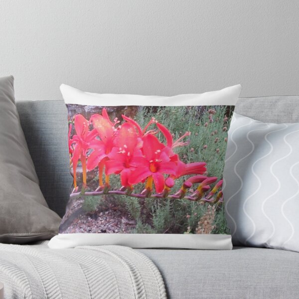 Item preview, Lusefir  designed and sold by Scott Branstetter Art.
