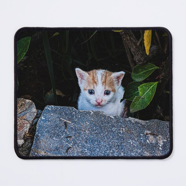 Item preview, Small street cat in Crete – Cute kitten in the bushes designed and sold by Tammigrafie.